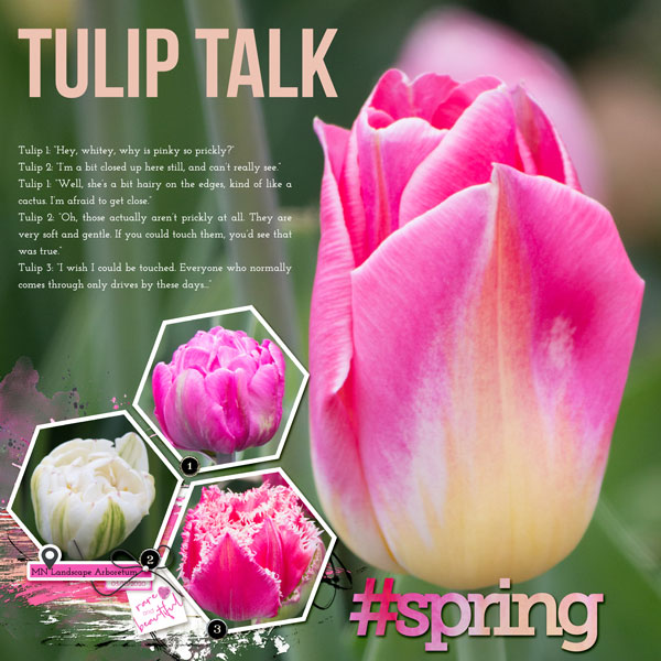 2020_May_TulipTalk