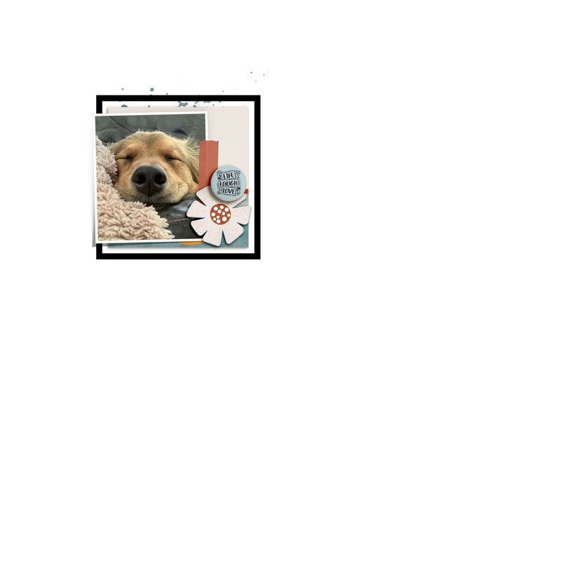 2021.01.15-Live-Laugh-Love-{MOC9_15}