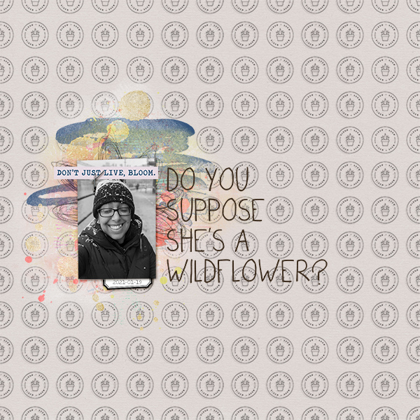 2021-01-19: Stamped Background