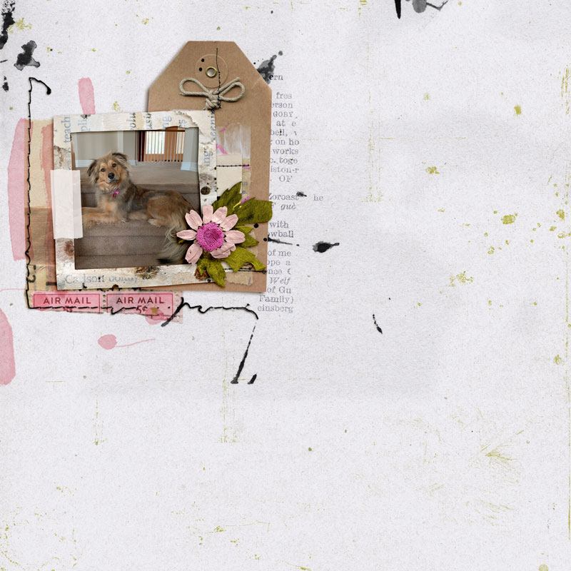 2021.02.02-HoneyBee