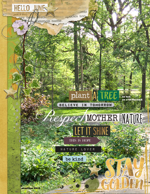 2021-06_June-TLP_Muse-AJ-Week2_Heal_Hope_web