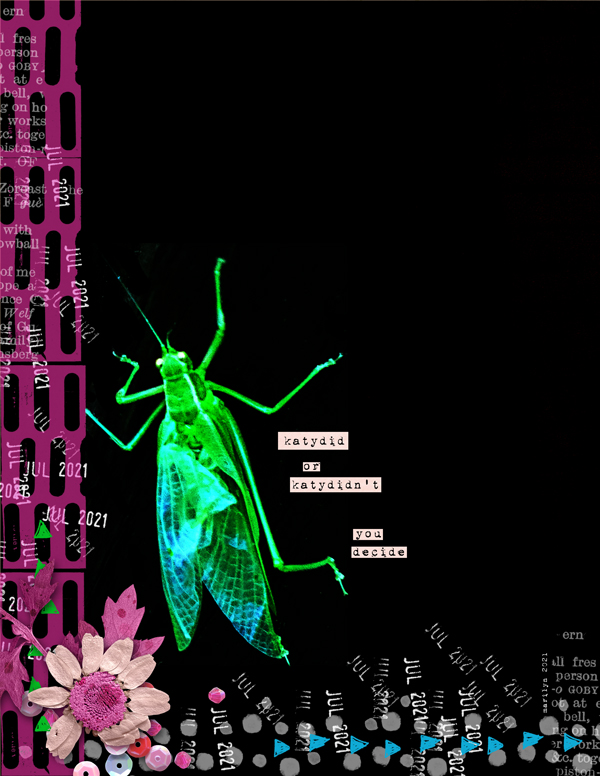 2021-07_July-TLP_Summer-School_2_Brush-Border_600web