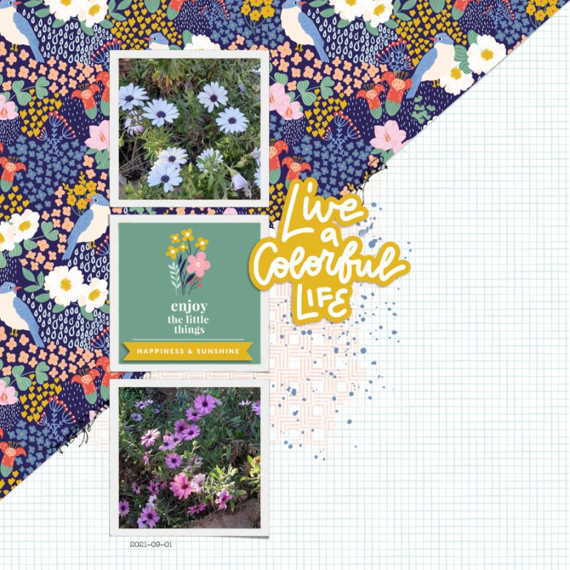 2021-09-01_LiveAColorfulLife