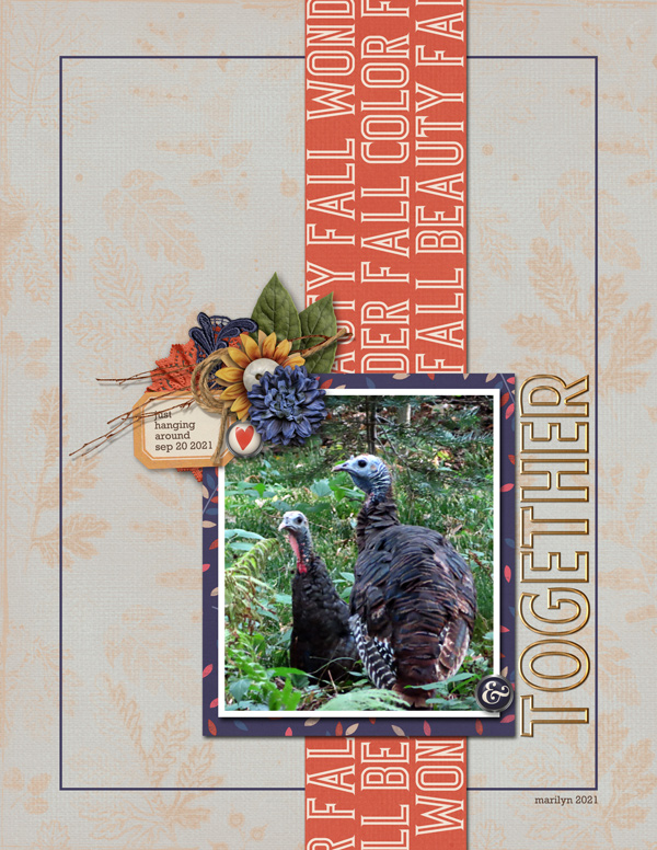 2021-09_September-TLP_0922_Slow-Scrap_web