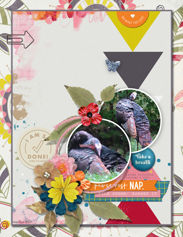 2021-10_October-TLP_1002_Slow-Scrap_turkey_web
