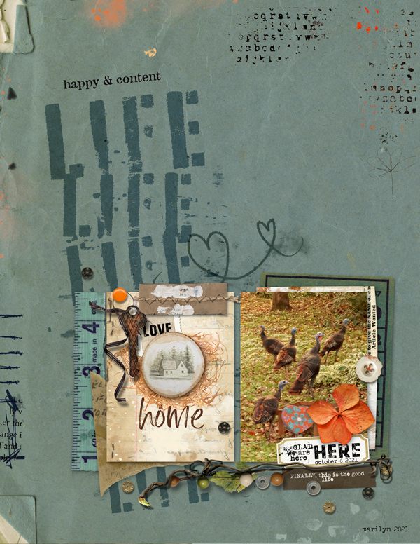 2021-10_October-TLP_M3-1015_Love-Life_600web