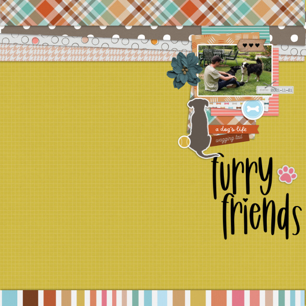 2021-11-21_FurryFriends
