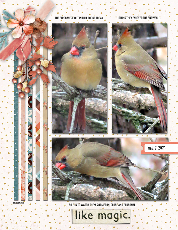 2021-12_December-2021_Speed-Scrap_1207_web