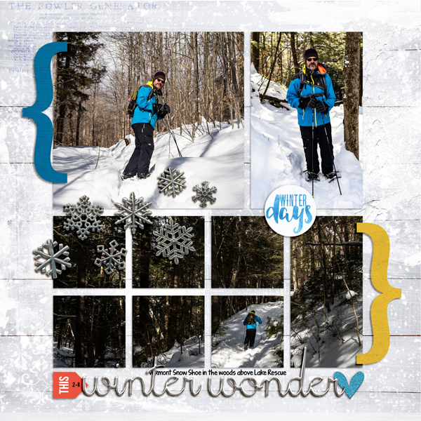 2021-2-11-snowshoeing-_600web