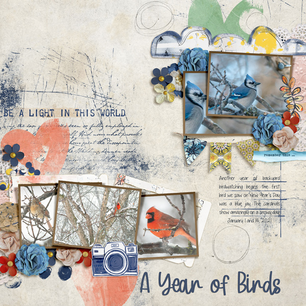 2021-Birds01 A Year of Birds