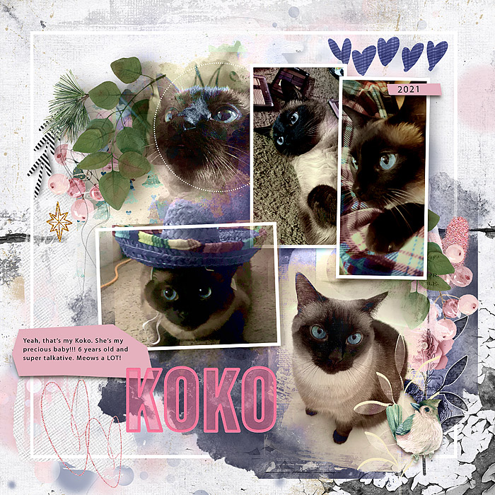 2021-Koko-Gessika's-cat-copy7b