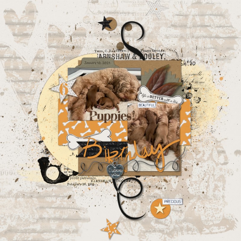 2021 MOC - Page 021 Birthday Challenge