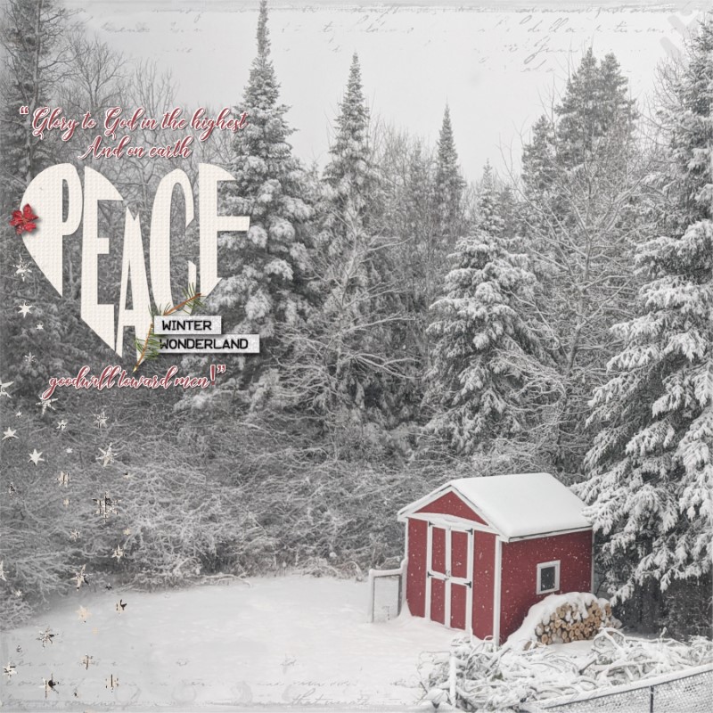 2021 MOC - Shaped Text: Peace on Earth
