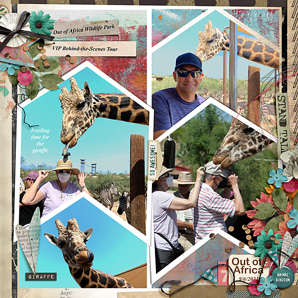 2021-Out-of-Africa-Giraffes