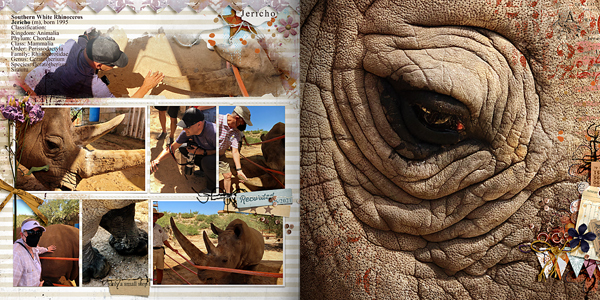 2021-Rhino-2page