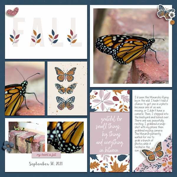 2021-Sept-Monarch