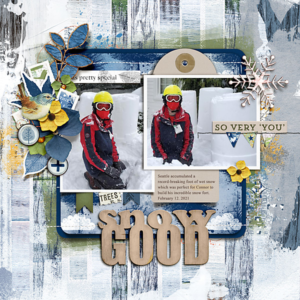 2021 Snow Good