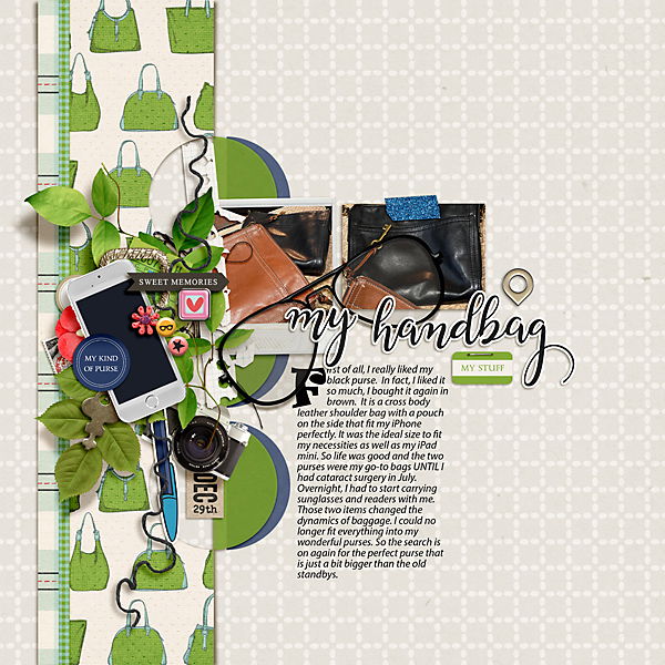 2021-The-Search-for-a-new-purse