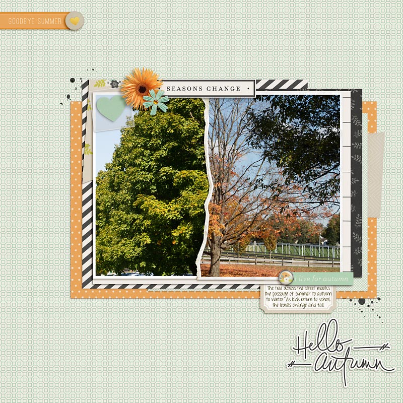 2021-Torn-Tree-copy