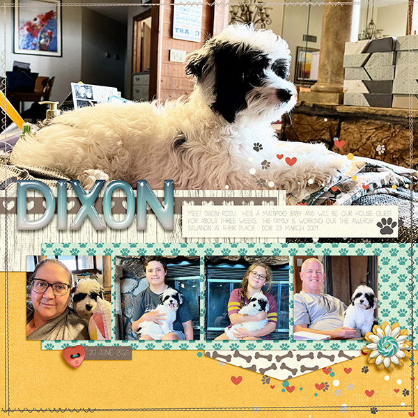2021_06-20 Dixon