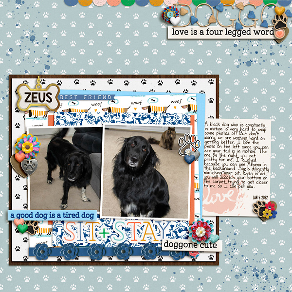 2022 01 Zeus