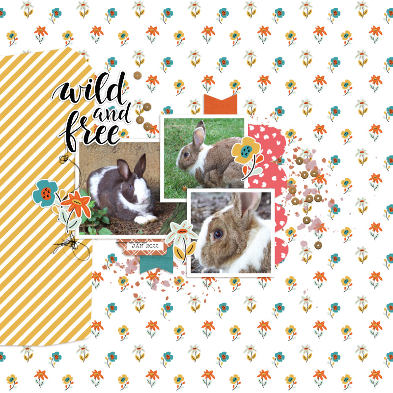 2022-01_WildAndFree