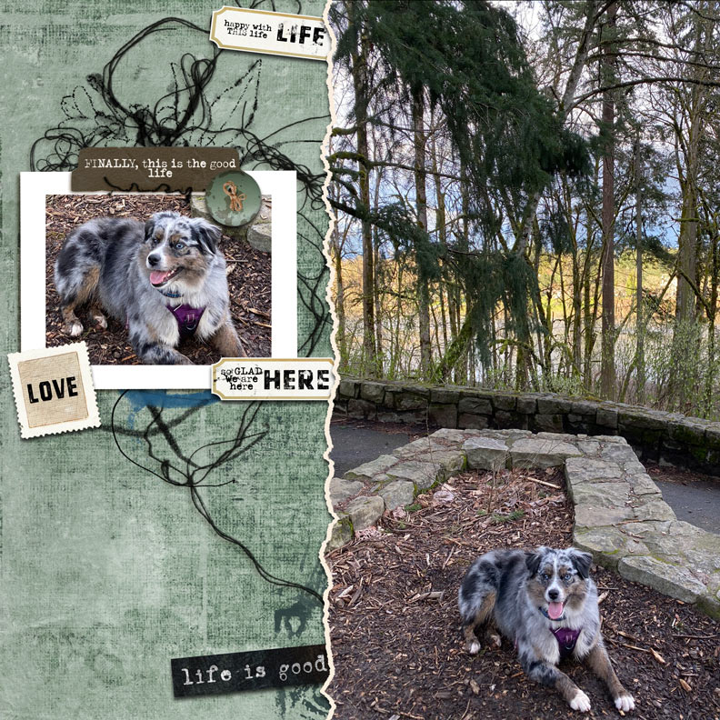 2022-03-TLP-Template-Challenge