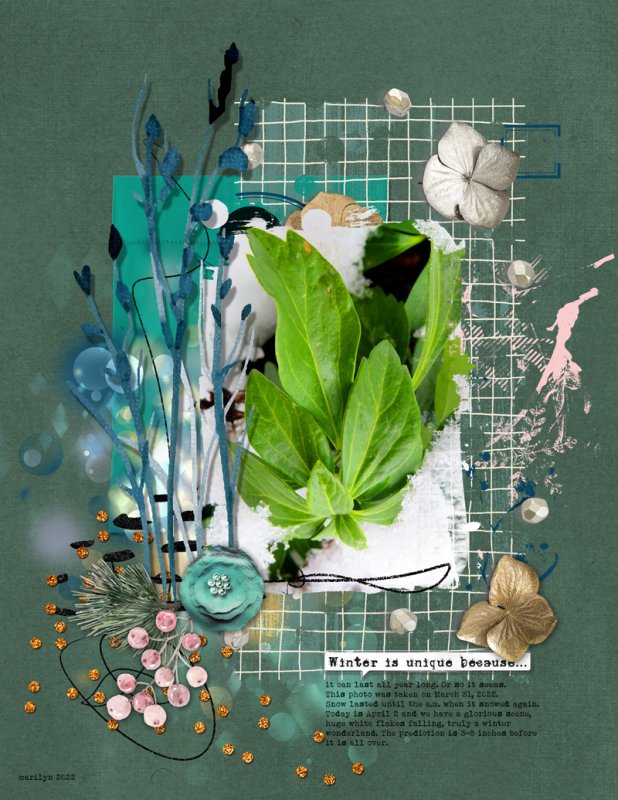 2022-04_April_0401_TLP_Slow-Scrap_NBK-Design_web