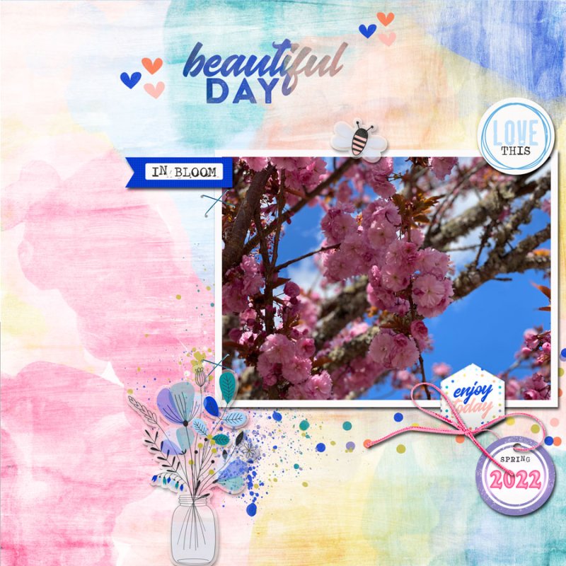 2022-05-TLP-Inspiration-Challenge