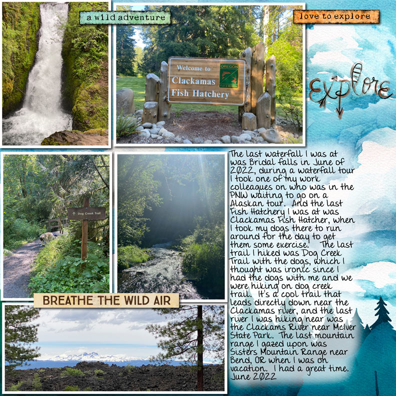 2022-07-TLP-Journal-Challenge