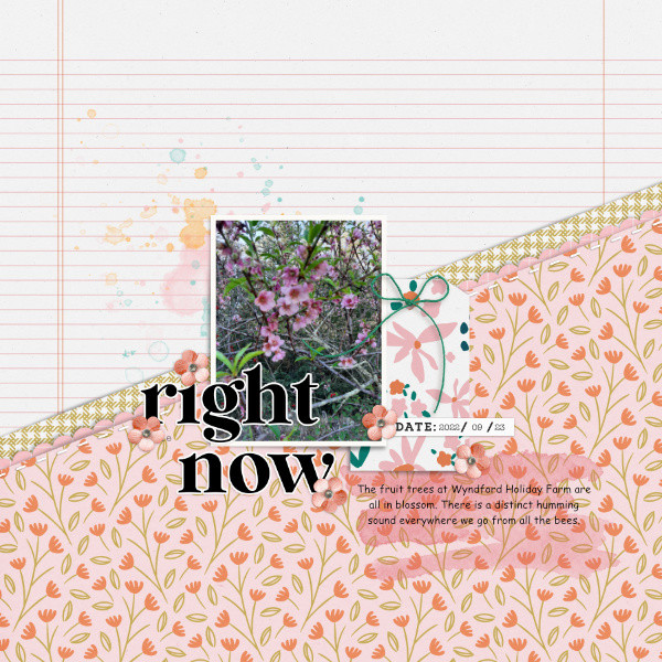 2022-09-23_RightNow