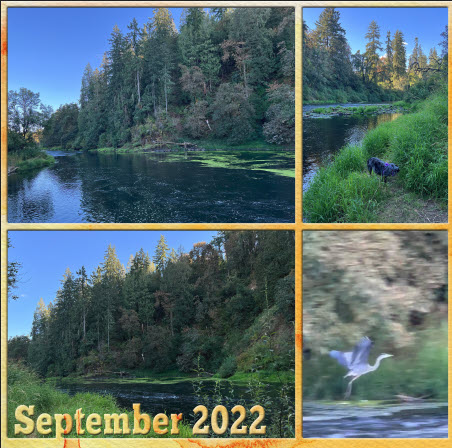 2022-09-TLP-Style-Challenge1