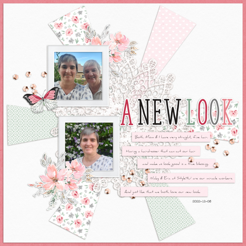 2022-12-08_ANewLook