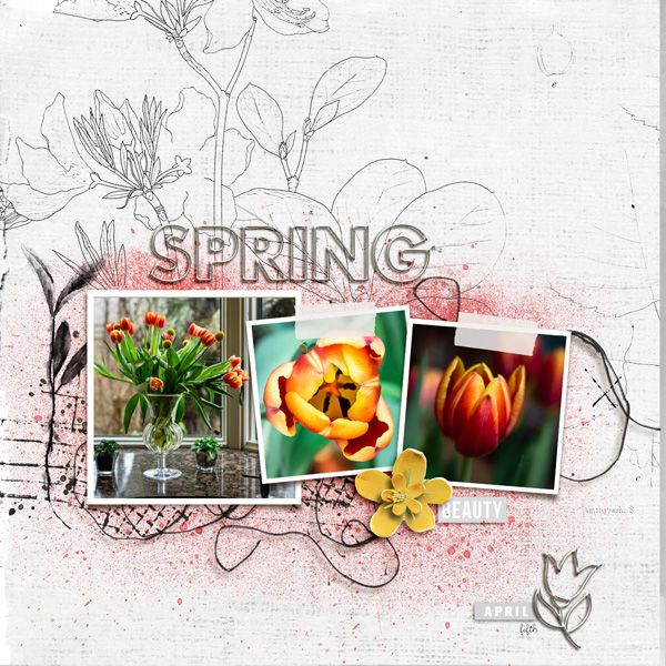 2022-4-5-tulips-_600web