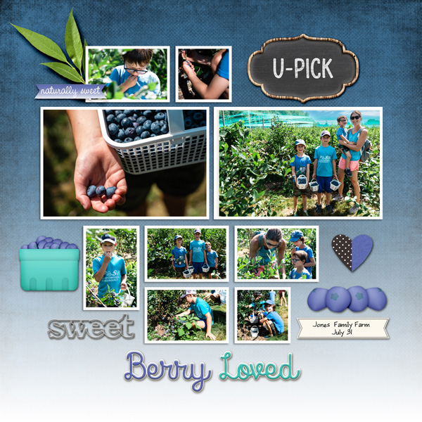 2022-7-31-blueberry-picking_600web