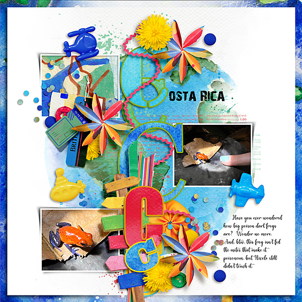 2022-Costa-Rica---Poison-Dart-Frogs