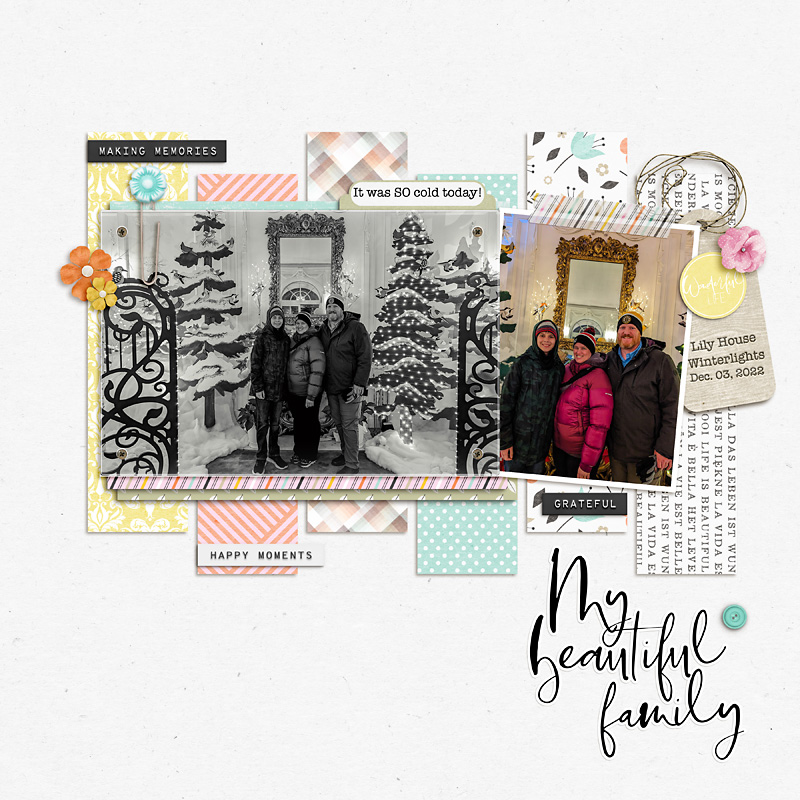 2022 Family Lily House