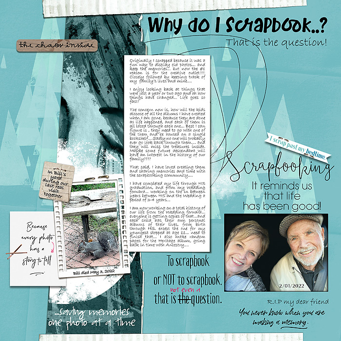 2022-iNSD-challenge-Why-do-I-scrap