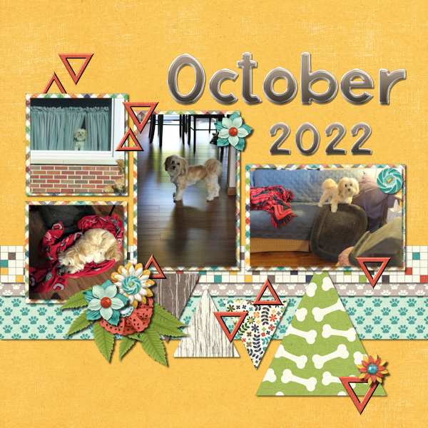 2022 Peyton Oct