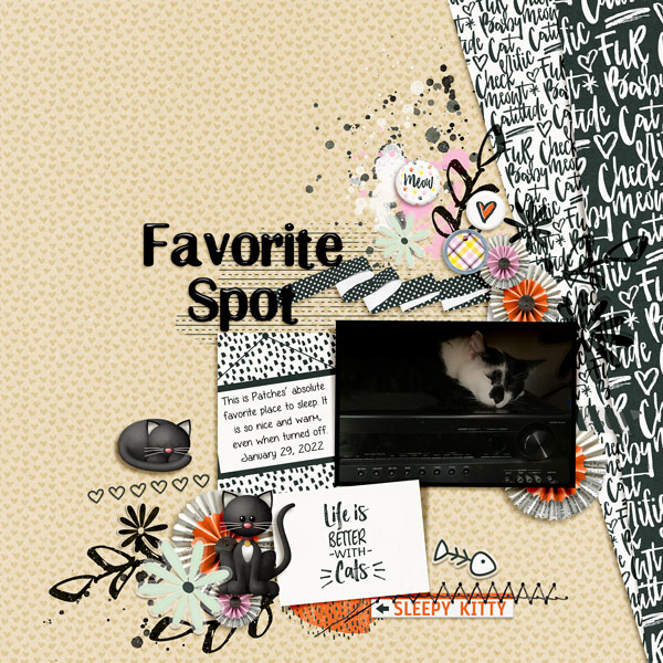 20220129 Favorite Spot
