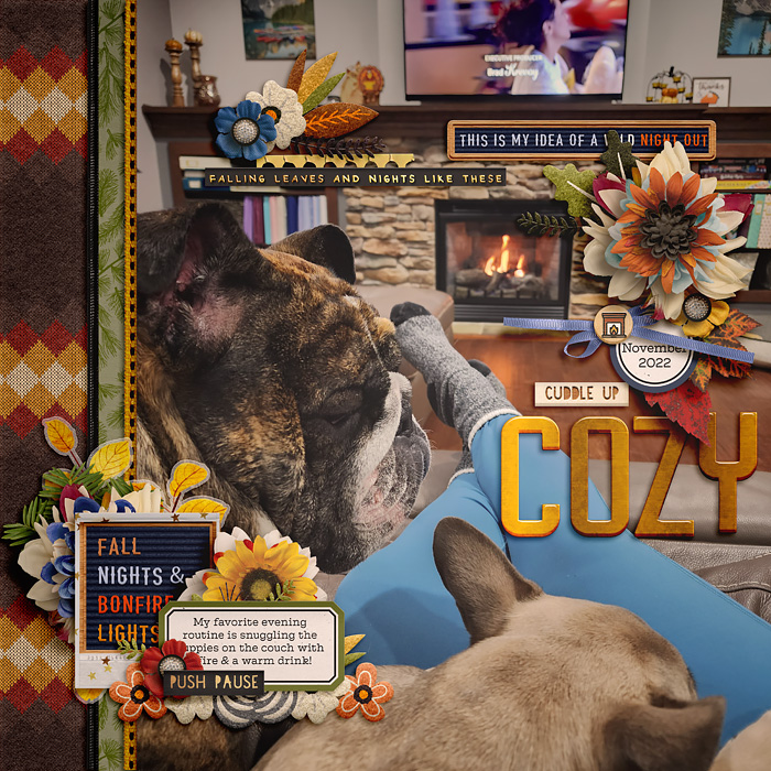 2022_11_Cozy