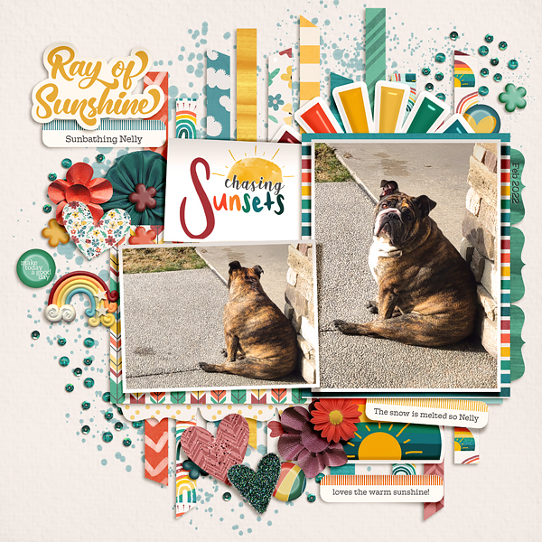 2022_2_Ray Of Sunshine