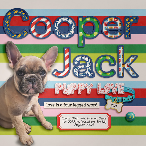 2022_8_Cooper Jack