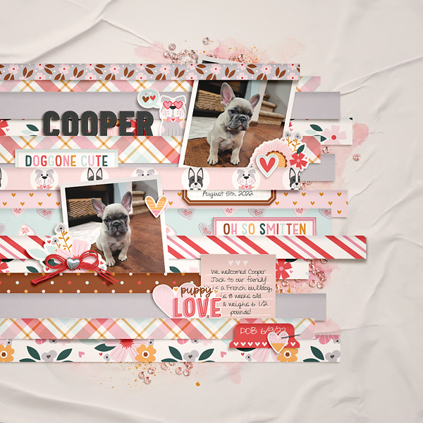 2022_8_Cooper