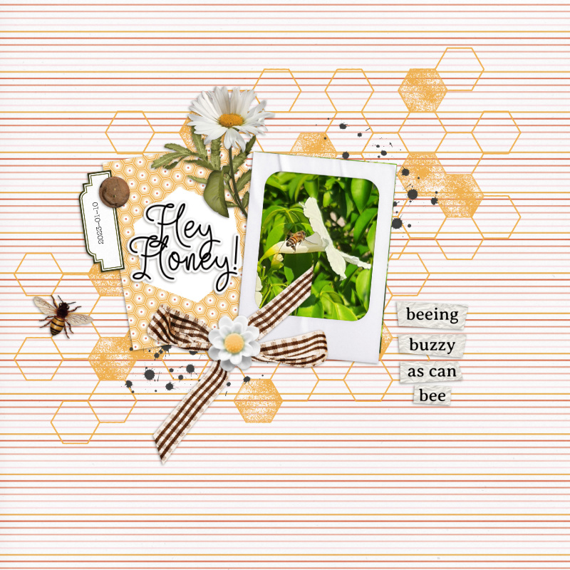 2023-01-23_HeyHoney