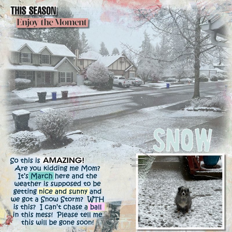 2023-03-TLP-Journaling-Challenge