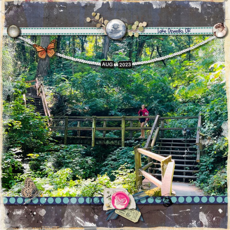 2023-08-TLP-Scraplift-Challenge