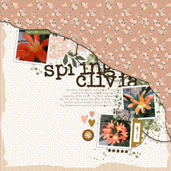 2023-09_SpringClivia
