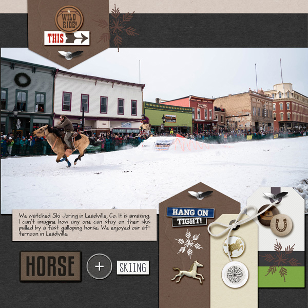 2023-3-4-ski-joring_600eb