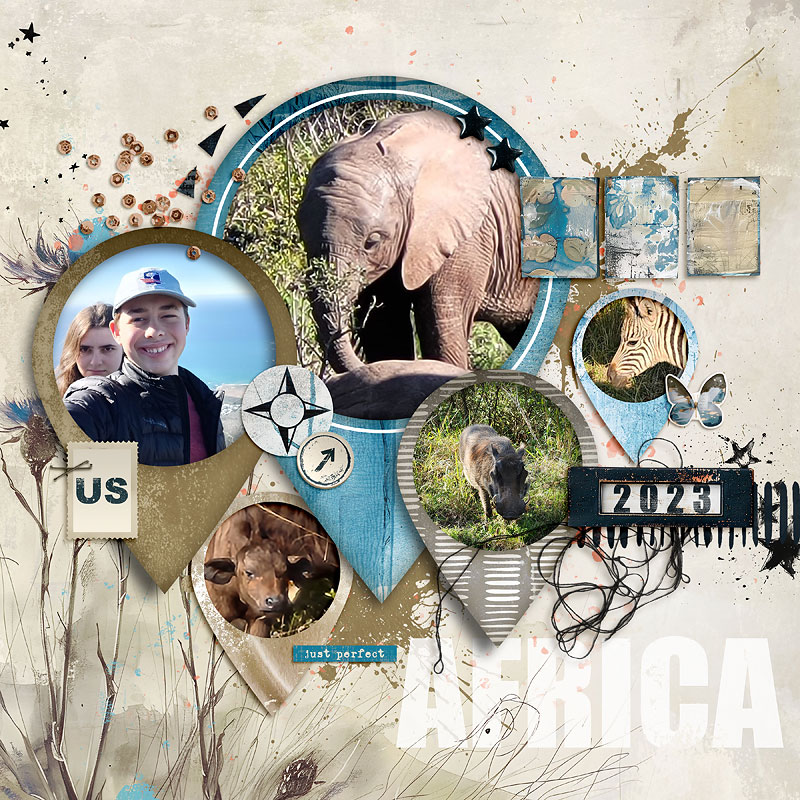 2023-Africa-Animals